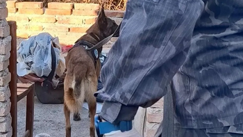 Una veintena de allanamientos se realizaron en simultaneo esta mañana. Foto gentileza MPF.