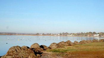 el sorprendente poder de las plantas acuaticas del lago pellegrini