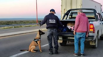 La Policía rionegrina realizó controles antidrogas en distintos puntos de la provincia. No se concretaron secuestros ni detenidos. La Policía rionegrina realizó controles antidrogas en distintos puntos de la provincia. No se concretaron secuestros ni detenidos.