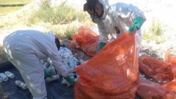 productores de rio negro podran reciclar sus envases de productos toxicos