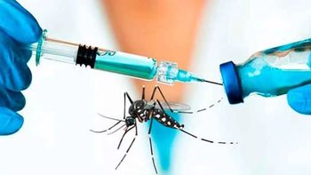 gran esperanza por nueva vacuna contra el dengue