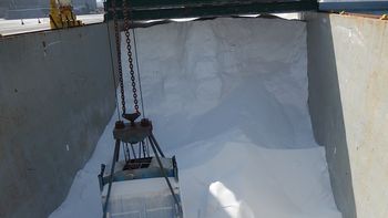 El mercado internacional de fertilizantes revirtió la escalada de precios de comienzos de año y llevó la cotización de la urea a niveles hasta US$ 300 por tonelada inferiores a los máximos recientes. | LMCipolletti.com El mercado internacional de fertilizantes revirtió la escalada de precios de comienzos de año y llevó la cotización de la urea a niveles hasta US$ 300 por tonelada inferiores a los máximos recientes.