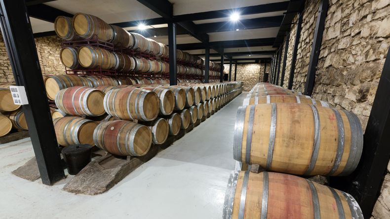 Bodegas del Alto Valle en Río Negro: 44.237 hl totales resaltan el énfasis en Merlot y Semillón, con fuerte presencia de terceros en genéricos. | LMCipolletti.com Bodegas del Alto Valle en Río Negro: 44.237 hl totales resaltan el énfasis en Merlot y Semillón, con fuerte presencia de terceros en genéricos.