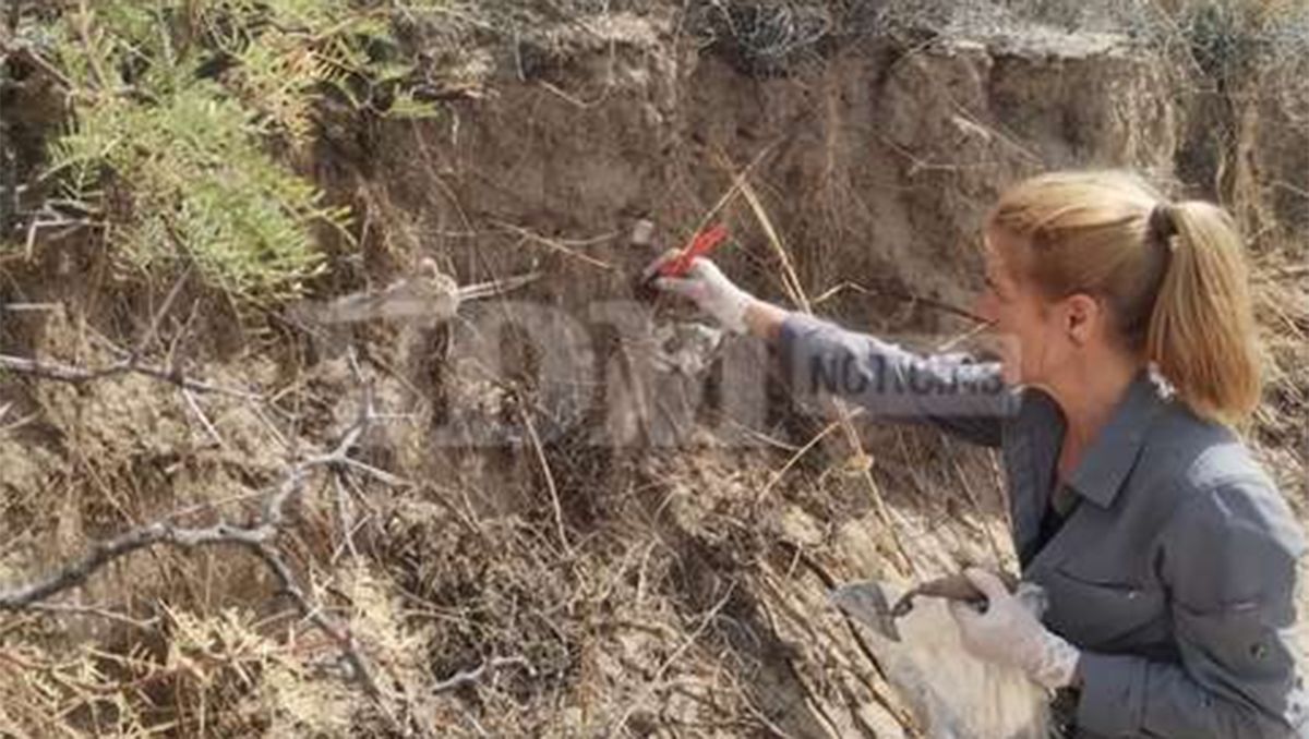 Encontraron restos humanos de más de 2 mil años de antigüedad en Playas Doradas