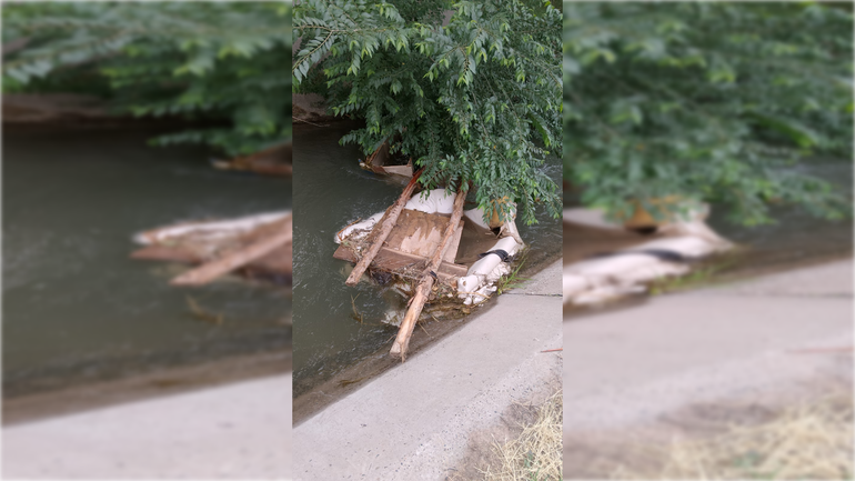 Obstrucciones registradas en uno de los canales de Cipolletti. Gentileza