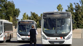 El gobierno rionegrino confirmó una multa a KoKo. Foto: Anahí Cárdena.