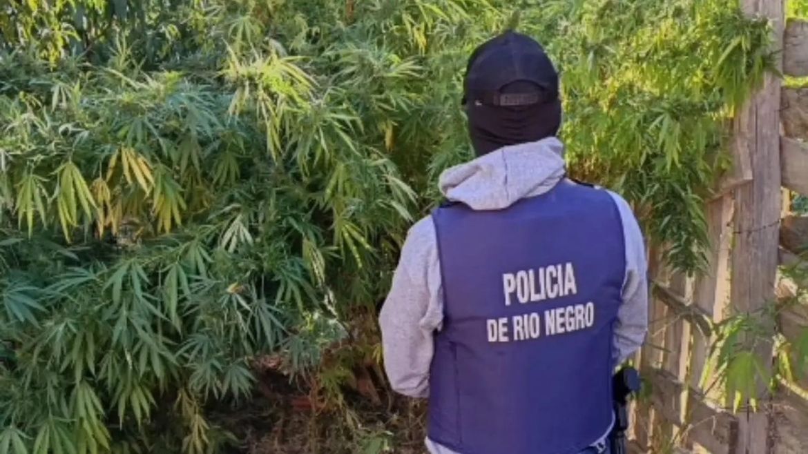 El operativo estuvo a cargo del COER y la Policía de Río Negro. Foto: Gentileza. | LMCipolletti.com El operativo estuvo a cargo del COER y la Policía de Río Negro. Foto: Gentileza.