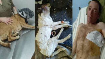 le perforaron un pulmon y a su perro lo mataron