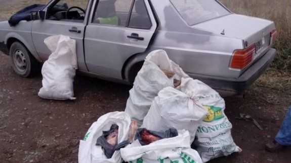 Violaron la cuarentena para transportar carne de contrabando
