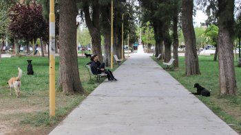 El engaño se consumó en la plaza.
