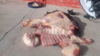 decomisaron mas de 400 kilos de carne transportada de manera irregular