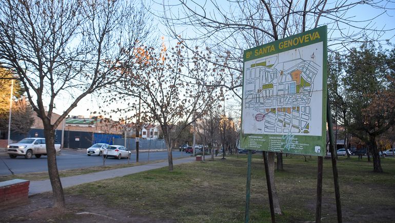 Terror en Santa Genoveva: cinco perros salvajes casi matan a una abuela de 89 años