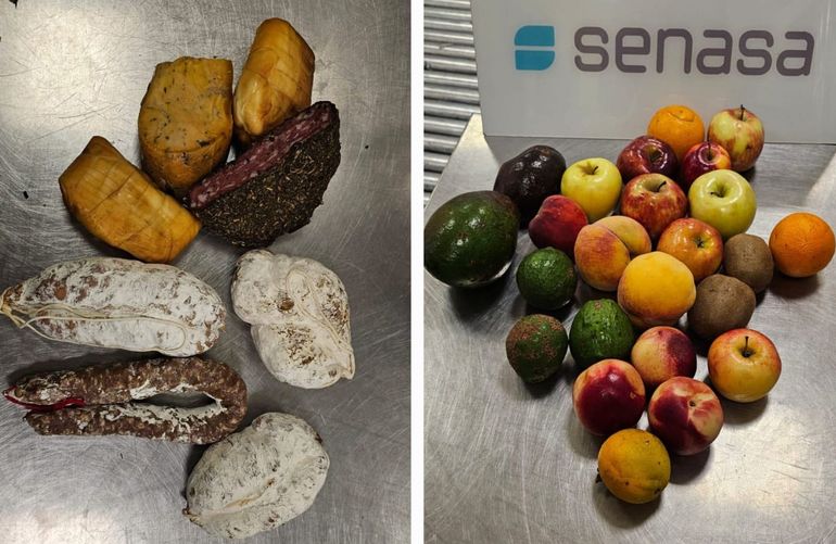 Si la mercadería se encontraba apta, se procedía a la donación a instituciones. Si la mercadería se encontraba apta, se procedía a la donación a instituciones.
