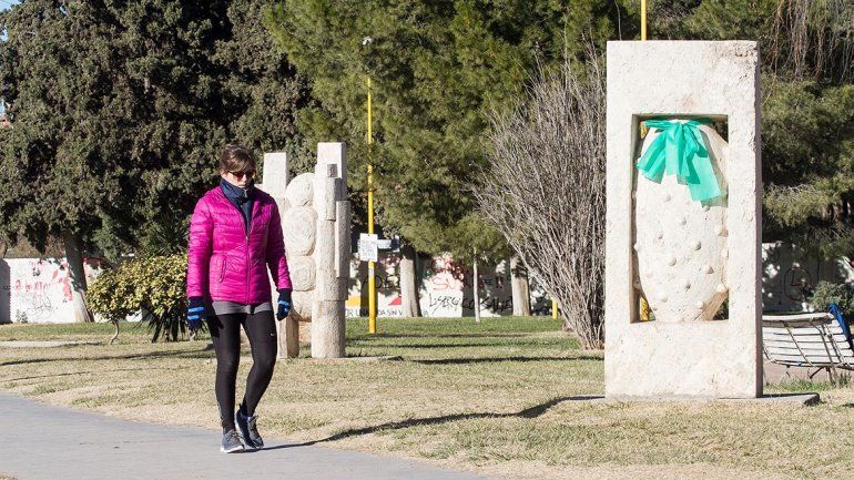 Operación araña, la campaña para intervenir la ciudad por el aborto legal