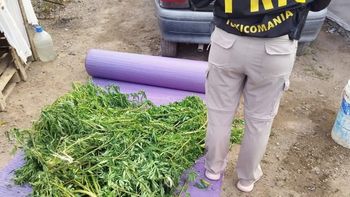 El operativo se llevó a cabo a partir de una investigación que se extendió durante un mes. Foto: Gentileza. El operativo se llevó a cabo a partir de una investigación que se extendió durante un mes. Foto: Gentileza.