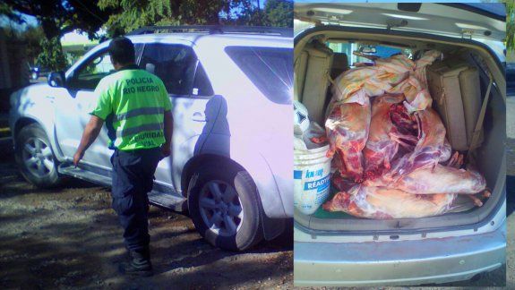 Atraparon a un comerciante con 20 chivitos en su auto