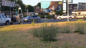 espacios verdes de la ruta 22, sin mantenimiento