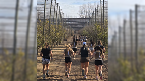 El evento solidario consistirá en una carrera de 10 km, con circuitos de 3 km y una estación de hidratación y degustación de productos de las marcas organizadoras. | LMCipolletti.com El evento solidario consistirá en una carrera de 10 km, con circuitos de 3 km y una estación de hidratación y degustación de productos de las marcas organizadoras.