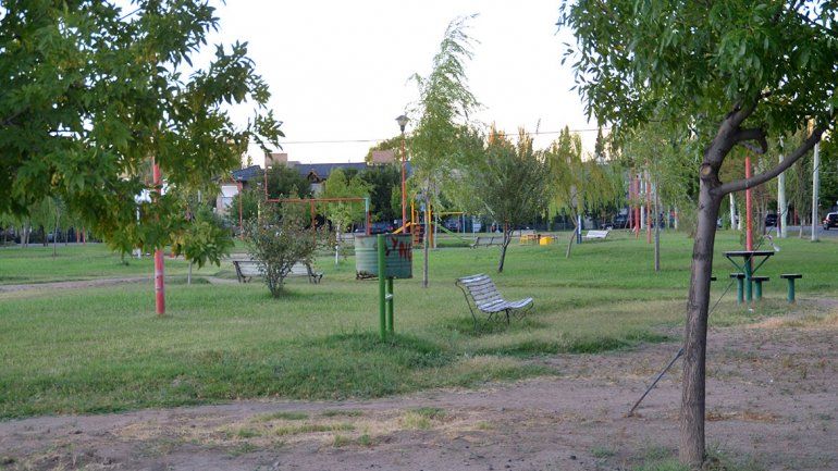 La causa de la muerte de los perros aún es un misterio