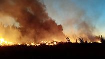 Dos incendios se registraron durante el fin de semana en el Valle Medio. Los contuvieron el personal del SPLIF.