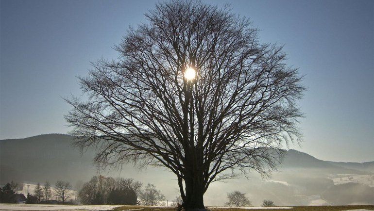 Solsticio de invierno: cambio de estación y limpieza ...