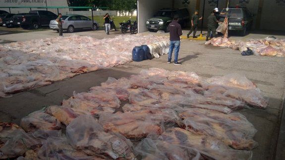 Decomisaron casi 4 mil kilos de carne que venía a Cipolletti