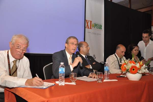 El mundo apuesta al desarrollo de nuevas variedades de peras