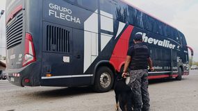 El mega operativo simultáneo se desarrolló en General Roca y Allen. | LMCipolletti.com El mega operativo simultáneo se desarrolló en General Roca y Allen.