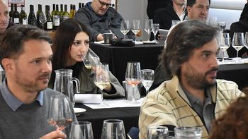 Con sus mejores galas: Bodegas de la Patagonia presentaron sus vinos icónicos | LMCipolletti.com Con sus mejores galas: Bodegas de la Patagonia presentaron sus vinos icónicos