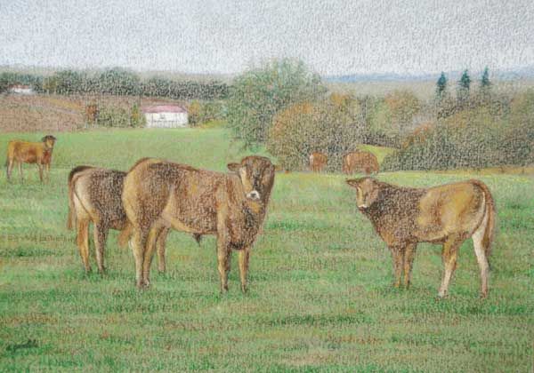 “Animales”, exposición de Armando Gentili en la sala Maison Blanche