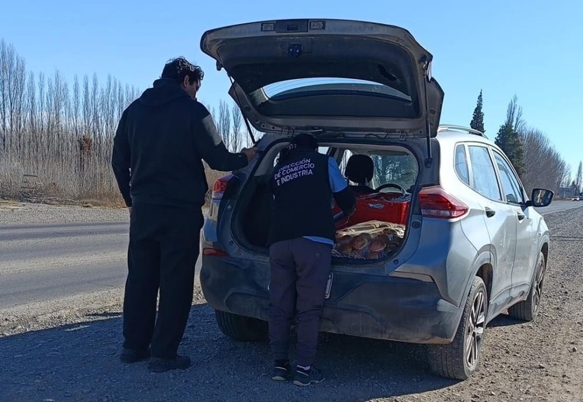 El operativo fue llevado a cabo por personal del Cuerpo de Seguridad Vial. Foto: Gentileza.