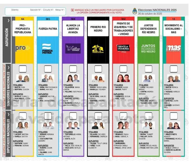 Hay más de 600.000 electores en la Provincia de Río Negro. 