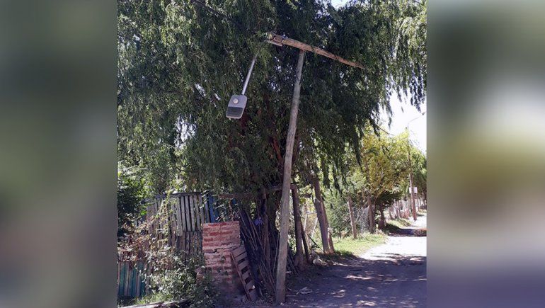 Vecinos del Martín Fierro, cansados de la imprudencia de los automovilistas 