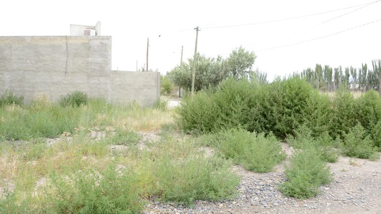 Si bien durante el año se extendieron notificaciones, en la ciudad sigue existiendo un gran porcentaje de terrenos que incumplen la normativa. Si bien durante el año se extendieron notificaciones, en la ciudad sigue existiendo un gran porcentaje de terrenos que incumplen la normativa.