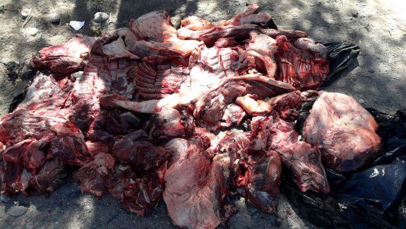 Decomisan 450 kilos de carne escondidos en dos Hilux
