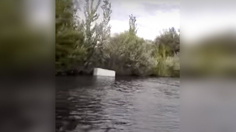 Navegaban por el río Negro y realizaron un hallazgo insólito