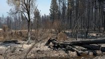 Un indicio relevante encontraron en uno de los lugares donde se desató un incendio. Se trata de una botella que está siendo peritada. El gobernador Weretilneck sostuvo que fue un atentado. 