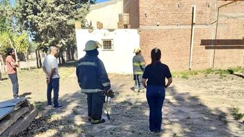 Bomberos es inspectores ambientales en un frigorífico de Centenario.