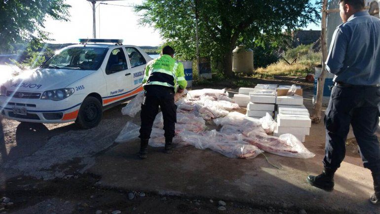 Los costillares de carne vacuna estaban prolijamente embolsados.
