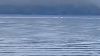 ¿es el nahuelito? una extrana figura fue vista en el nahuel huapi