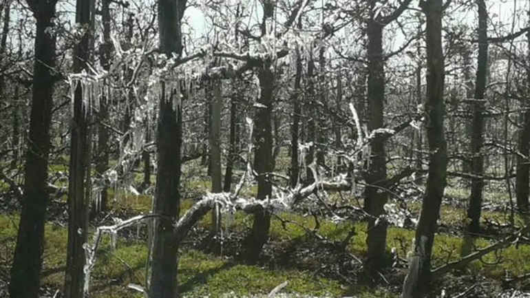 Las temperaturas podrían llegar a los 3º bajo cero.