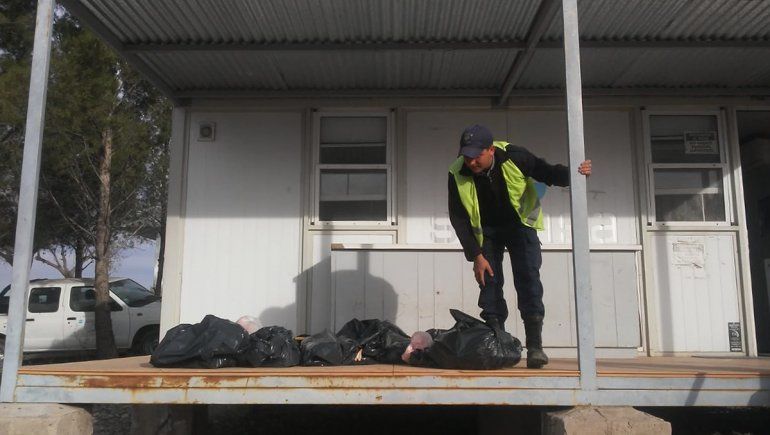 Llevaba 180 kilos de carne en bolsas de consorcio y le decomisaron todo
