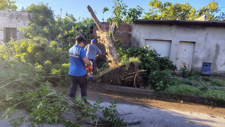 Dramáticas imágenes de Allen, la vecina que zafó de milagro en Oro y cuándo vuelve la luz