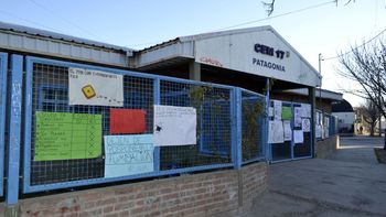 La ESRN 17 de Cipolletti viene alertando una plaga de cucarachas desde abril.