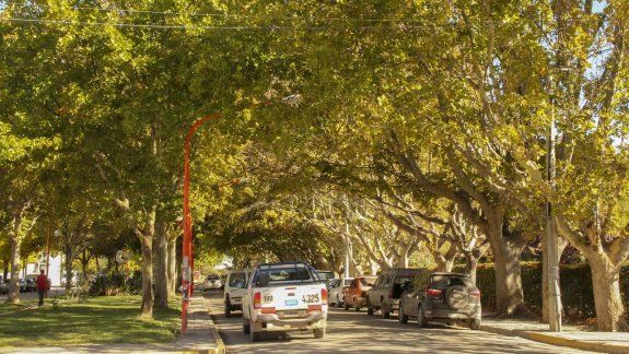 El otoño comienza a hacerse sentir en el Alto Valle
