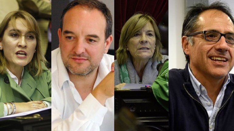Mirá lo que dijeron los diputados rionegrinos en el debate por el aborto legal