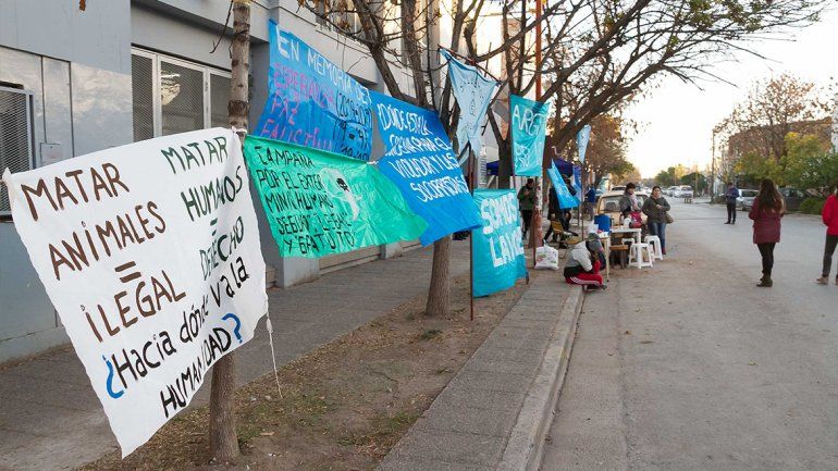 Los tribunales cipoleños se tiñeron de verde y celeste  