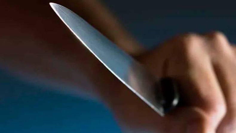 El empleado rural fue acusado de apuñalar a un perro y agredir a su hermano. | LMCipolletti.com El empleado rural fue acusado de apuñalar a un perro y agredir a su hermano.