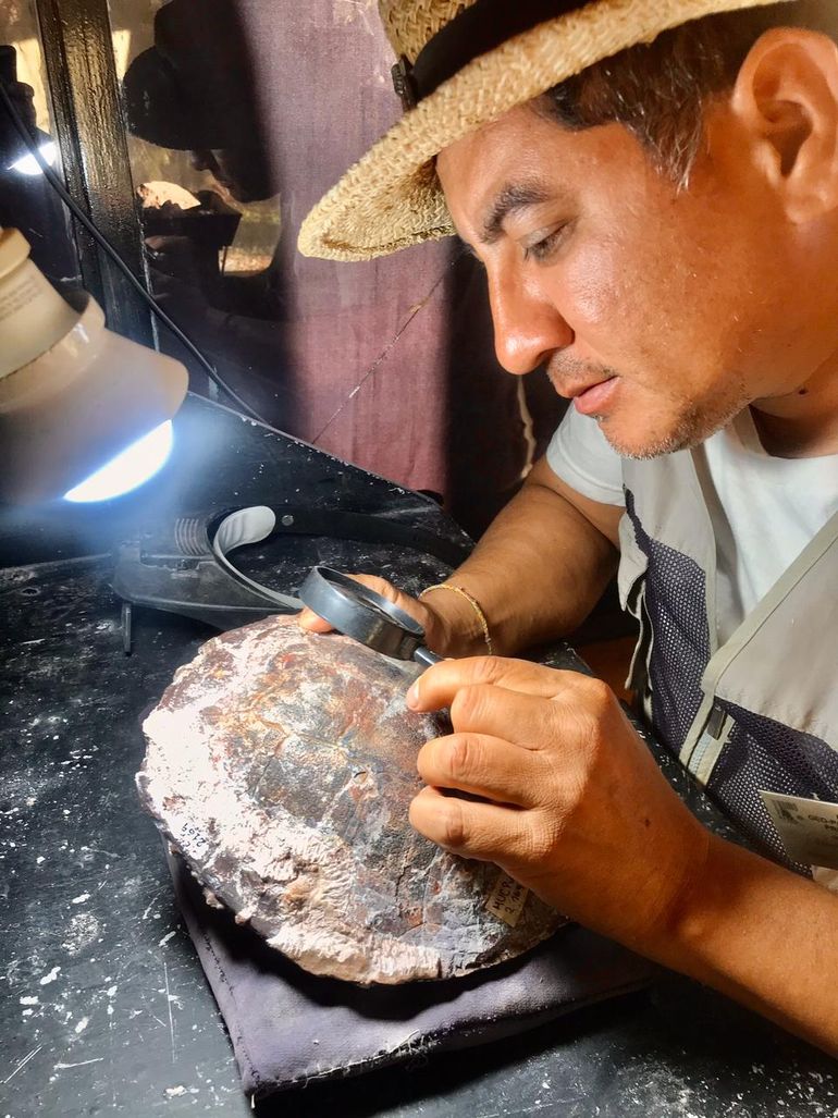 Hallaron dos tortugas de unos 90 millones de años en el lago Barreales