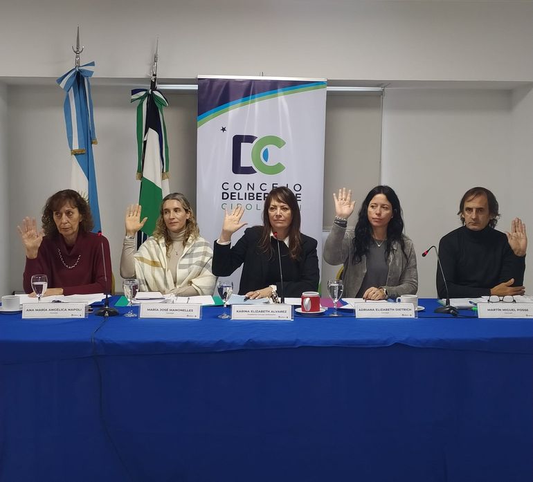 En la sesión de este martes, los concejales votaron el despacho de tratamiento del proyecto a la comisión de Gobierno.